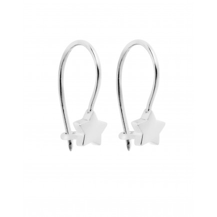 Earrings of white gold K14 stars.